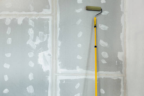 Best Mold Damage Restoration  in Waxhaw, NC