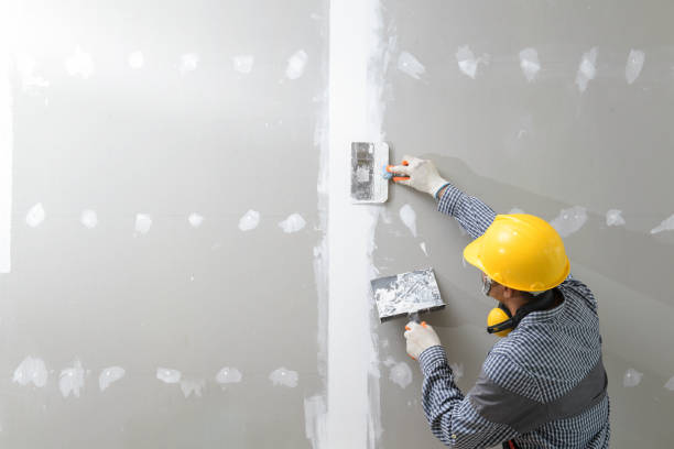 Best Mold Odor Removal Services  in Waxhaw, NC