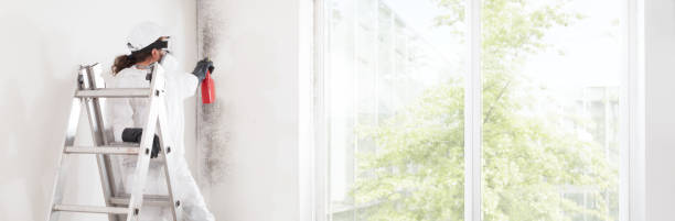 Best Comprehensive Air Testing for Mold Contaminants  in Waxhaw, NC