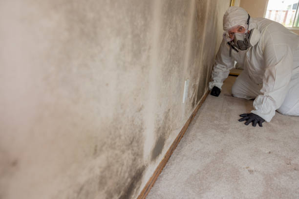 Best Industrial Mold Remediation  in Waxhaw, NC