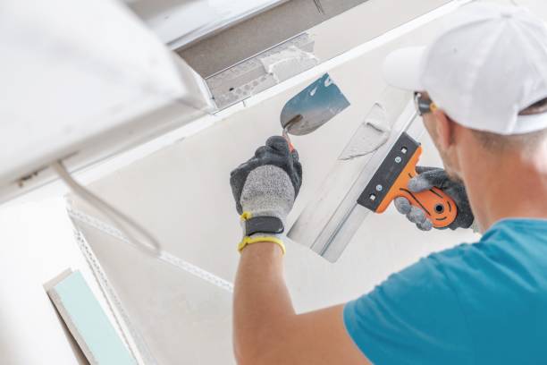 Best Black Mold Removal  in Waxhaw, NC